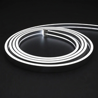 Bande LED néon flexible en silicone haute luminosité CRI 95, 4 mm, 12V 24V, 4x8 3x6 6x12 4x8mm 3x6 4x8 6x12 3 4 6 mm, LED néon flexible 4 mm