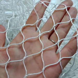 Échantillon Gratuit Filets <span class=keywords><strong>de</strong></span> <span class=keywords><strong>pêche</strong></span> en nylon à nœud simple 210D 4ply 9ply 15ply 21ply 27ply 400md 600md 800md - Product Image 2