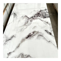 Panneaux muraux et revêtements en PVC marbré UV - Ignifuges, imperméables, design moderne pour une utilisation intérieure/extérieure