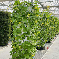 Kit d'hydroponie pour ferme intelligente, système de jardinage vertical auto-arrosant, système de jardinage intérieur, tour hydroponique commerciale, tour à ananas
