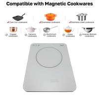 Table de cuisson à induction portable ultra-mince 2000W à brûleur unique, verre transparent, LED blanche, conforme à la norme CE