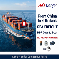 Transporte marítimo DDP puerta a puerta de China a Países Bajos para células solares con doble despacho de aduanas, impuestos incluidos