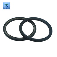 TY U Type Peek Variseal Flat Iron Metal Shaft Step Mechanical Hydraulic Spring Energized PTFE Double Lip Oil Seal Custom Size
