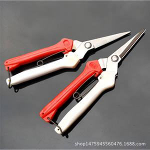 Sécateur Taiwan Mountain Wisteria en acier inoxydable, tête droite, lame de 60 mm, poignée rouge et blanche, diamètre de coupe 10-20 mm - Product Image 4