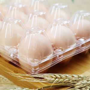 Tự Động 4 Trạm Pet PP PVC <span class=keywords><strong>Egg</strong></span> Khay Nhựa Thermoforming Making Machine Nhà Cung Cấp - Product Image 4