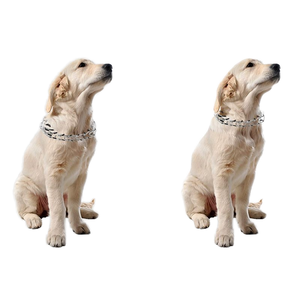 Hunde trainings ausrüstung <span class=keywords><strong>Dog</strong></span> Spike <span class=keywords><strong>Collar</strong></span> Hundes timulations halsband Explosions geschütztes Edelstahl halsband P-Kette - Product Image 5