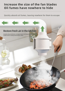 Ventilateur centrifuge silencieux Fulude à moteur AC en plastique, à flux incliné, 220V 250mm, pour usage domestique, ventilation de cuisine, haute qualité, meilleur choix - Product Image 3