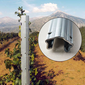 Poteaux de treillis de <span class=keywords><strong>vigne</strong></span> en métal <span class=keywords><strong>galvanisé</strong></span> à chaud pour vignoble, plantes grimpantes, vignes, en vente - Product Image 2