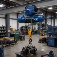Mini palan électrique ACME à bas prix, 3 tonnes, 5 tonnes, 10 tonnes, 16 tonnes, pour l'entretien des usines, la manutention des matériaux
