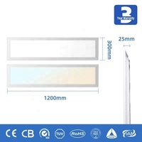 Plafonnier LED en matériau PC Shingel 2x2 2x4 60x60 595x595 600x600mm 36W-65W 6000K IP66 CRI80 Usage Commercial Garantie 5 Ans