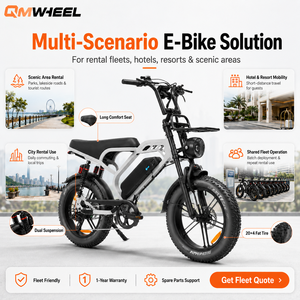 QMWHEEL V20 Limited bicicleta eléctrica 48V fat bike Bicicleta eléctrica para EE. UU., Australia, Europa, proveedor mayorista B2B con almacén en EE. UU. - Product Image 1