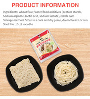 Udon Noodle Japanese Style