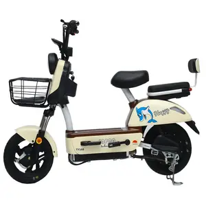 中国电动自行车价格制造商48v 350w可充电2轮电动自行车显示电动自行车