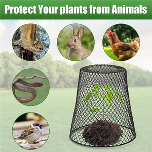 Cage de protection en fil métallique pour plantes de jardin, couverture anti-poulets, lapins et écureuils pour semis, dôme en maille de protection pour plantes - Product Image 3