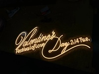 Enseigne néon LED personnalisée, conception gratuite, prise DC, décoration pour chambre, fête d'anniversaire, bureau, maison, nom personnalisé, logo, mariage, voiture, boutiques