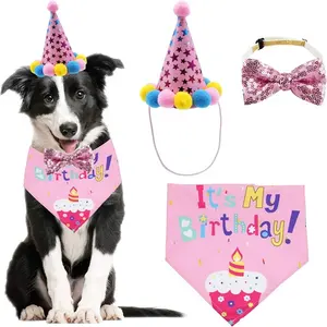 Haustier Welpe Geburtstags feier Versorgung Hund Geburtstag Bandana Hut Set Bandana Geburtstag Hut Schal