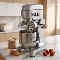 Mélangeur planétaire professionnel en acier inoxydable avec bol amovible, multi-vitesses, 20 L, pour boulangerie et cuisine