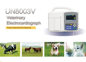 Tragbares digitales 12-Kanal-Touchscreen-EKG-EKG-Gerät für Hunde - Product Image 2