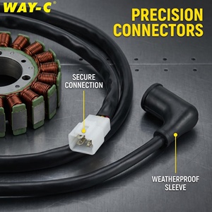 Repuestos para Triciclos WAY-C: Conjunto de Estator Magnético 1D001847 para <span class=keywords><strong>Piaggio</strong></span> Ape City Tuk Tuk Auto Rickshaw - Product Image 4