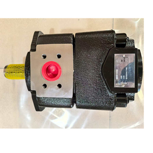 Pompe à engrenages haute pression Hydraulics Qx31-032/31-025/21-010/22-005r & Qx51-125r - forte capacité de charge 68 kg - Product Image 1