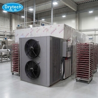 Professionele hoogtechnologische fruitdroger, machine voor het drogen van gesneden appels en vijgen, te koop