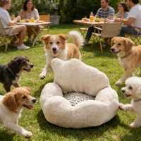 Canapé-lit orthopédique pour animaux de compagnie Pet Duke, pour chiens, chats et petits animaux, écologique, moderne, durable, en mousse à mémoire de forme, auto-ajustable, avec boîte amovible