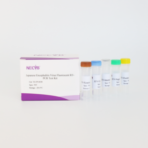 Vírus da encefalite japonesa (JEV) TaqMan Probe RT-PCR Kit-Alta sensibilidade para diagnósticos veterinários, 50 testes - Product Image 3