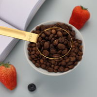 15ml 5ml Dubbelzijdige roestvrijstalen maatschep voor koffie, bakken, kruiden, koken, keuken, groothandel