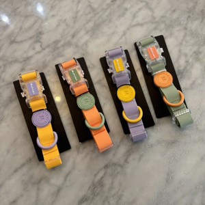 Custom Wholesale Adjustable Strong <strong>Dog</strong> <strong>Collar</strong> Leash Set Waterproof Silicone PVC Pet <strong>Collar</strong> Luxury Hand Free Leash For <strong>Dogs</strong> - Product Image 1