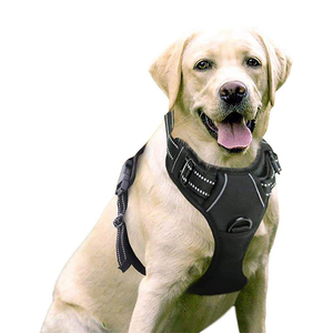 メーカーOemOdmカスタムパーソナライズされた高品質の調整可能なデザイナーラグジュアリープルなし犬用ハーネスカスタム犬用ペットハーネス - Product Image 1