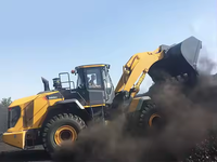 Célèbre marque chinoise 886H Mini Skid Steer Loader Tier 3 Tracteur avec 4.5cbm Bucket Capacity Core Component Engine