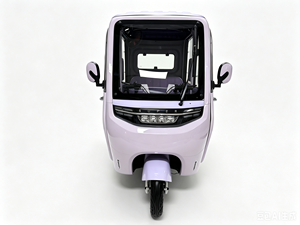 Triciclo Eléctrico Cerrado Personalizado para Pescadores, Suministro Directo de Fábrica, Gran Autonomía y Amplio Espacio de Almacenamiento para Transporte Diario Familiar - Product Image 1