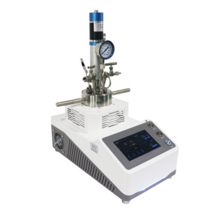 NADE <span class=keywords><strong>MSG</strong></span> 25ml 50ml laboratoire universel haute pression à ouverture rapide réacteur à agitation mécanique avec température de fonctionnement maximale 550C - Product Image 3