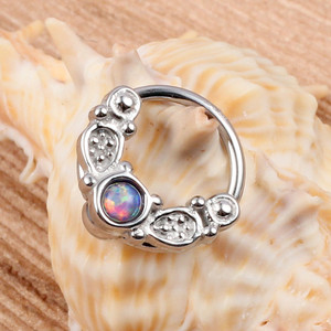 Evorte 316L Acier inoxydable Bijoux de corps unisexe pour enfants, Cadeau, Piercing, Anneau de nez, Anneau nasal, Anneau de téton, Septum, Christina, Helix - Product Image 6
