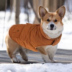 Giacca invernale con fodera Ultra spessa Premium per cani di piccola taglia piumino caldo con tasche portaoggetti (marrone) - Product Image 1