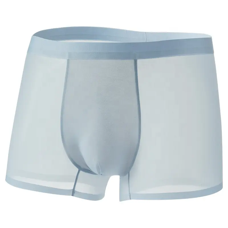 Daisiya boxers underwear for men Ice Silk Briefs Seamless Shorts men sexy underwear