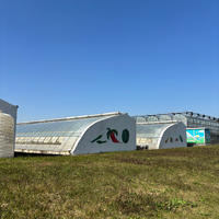 Serre agricole commerciale intelligente de grande taille à plusieurs travées, système hydroponique, bâche de couverture, largeur de baie de 4 m, galvanisation à chaud