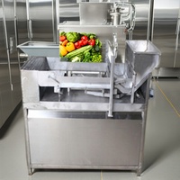 Automatische Fruitledermachine Fabriek Prijs 304 Roestvrijstalen Fruitroll Bar Droogmachine