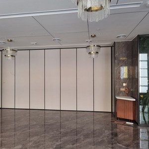 Cloisons mobiles ignifugées 60 minutes avec porte de passage pour salle de conférence - Product Image 3