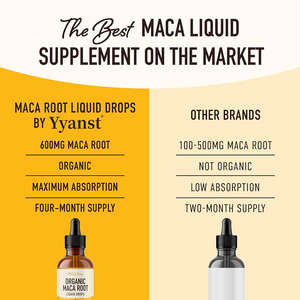Bebida de raíz de maca de marca privada de alta calidad que aumenta los niveles de energía natural y apoya la digestión y la salud intestinal. - Product Image 3