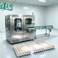 360 °   Machine de Scannage Intégral des Œufs avec Détection des Défauts de Coquille et Inspection des Étiquettes pour les Lignes d'Emballage des Œufs