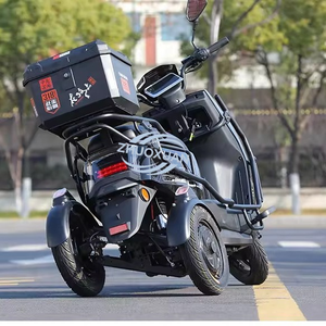 Triciclo Eléctrico de Carga Sky 72V de Alta Velocidad 1000W, Carrocería Abierta, Capacidad de Carga 100-200kg, Vehículo de Reparto - Product Image 3