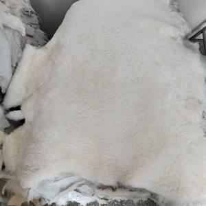 अनुकूलित उच्च गुणवत्ता वाली वास्तविक शेपस्किन नरम नरम नरम कुली त्वचा पेल्ट पशु फर कपड़ों के लिए पर्यावरण संरक्षण - Product Image 6