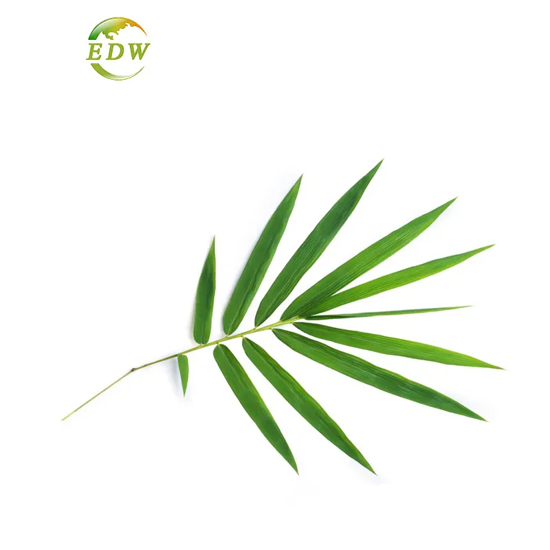 Bulk Price Food Grade Bamboo Extract 70% Silica Bamboo Stem Powder