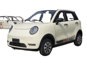 Vehículo Eléctrico Compacto Mini para Adultos, Nueva Energía, Largo Alcance, 4 Ruedas, con 101-200 km de Autonomía y 13000 W de Potencia - Product Image 2