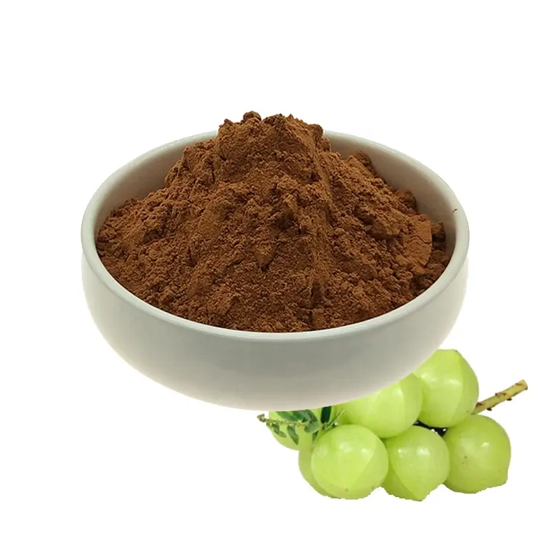 하이 퀄리티 엠블리카 officinalis/Amla/필란투스 엠블리카 추출물