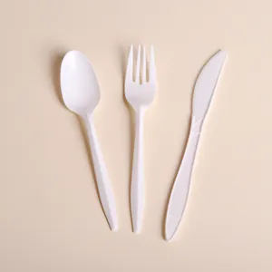 Disposable Cutlery Sets, Plastic PP Spoon/Fork/Knife/Tea Spoon/Spork, Disposable Plastic Flatware Sets