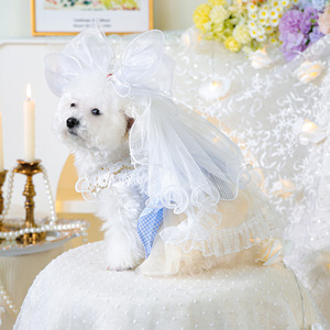 PETCIRCLE Ropa de Primavera/Verano para Mascotas, Conjuntos para Perros y Gatos, Diademas, Faldas de Tul Estilo Wonderland, Combinaciones - Product Image 3