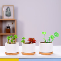 Pot sukulen keramik Modern porselen putih, Pot bunga berkebun Rumah, Pot Logo meja cetak grosir