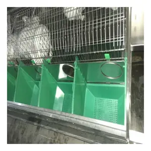 Chine Cages d'approvisionnement d'usine lapin pratique nettoyage des excréments Cage à lapin de style européen